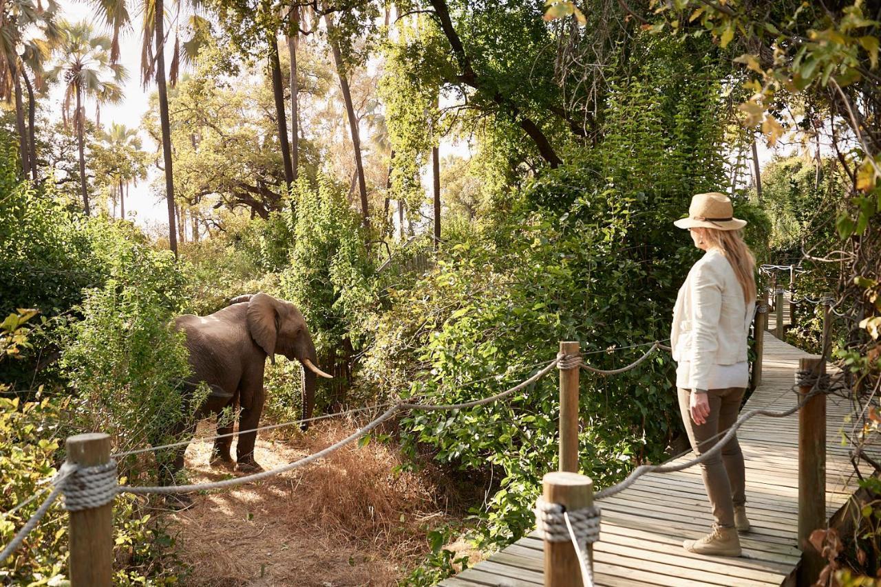 Victoria Falls River Lodge Exteriér fotografie
